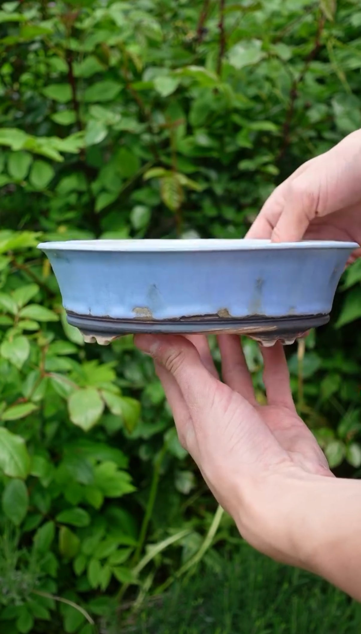 Handmade Bonsai Schale - von "tree with soul"
