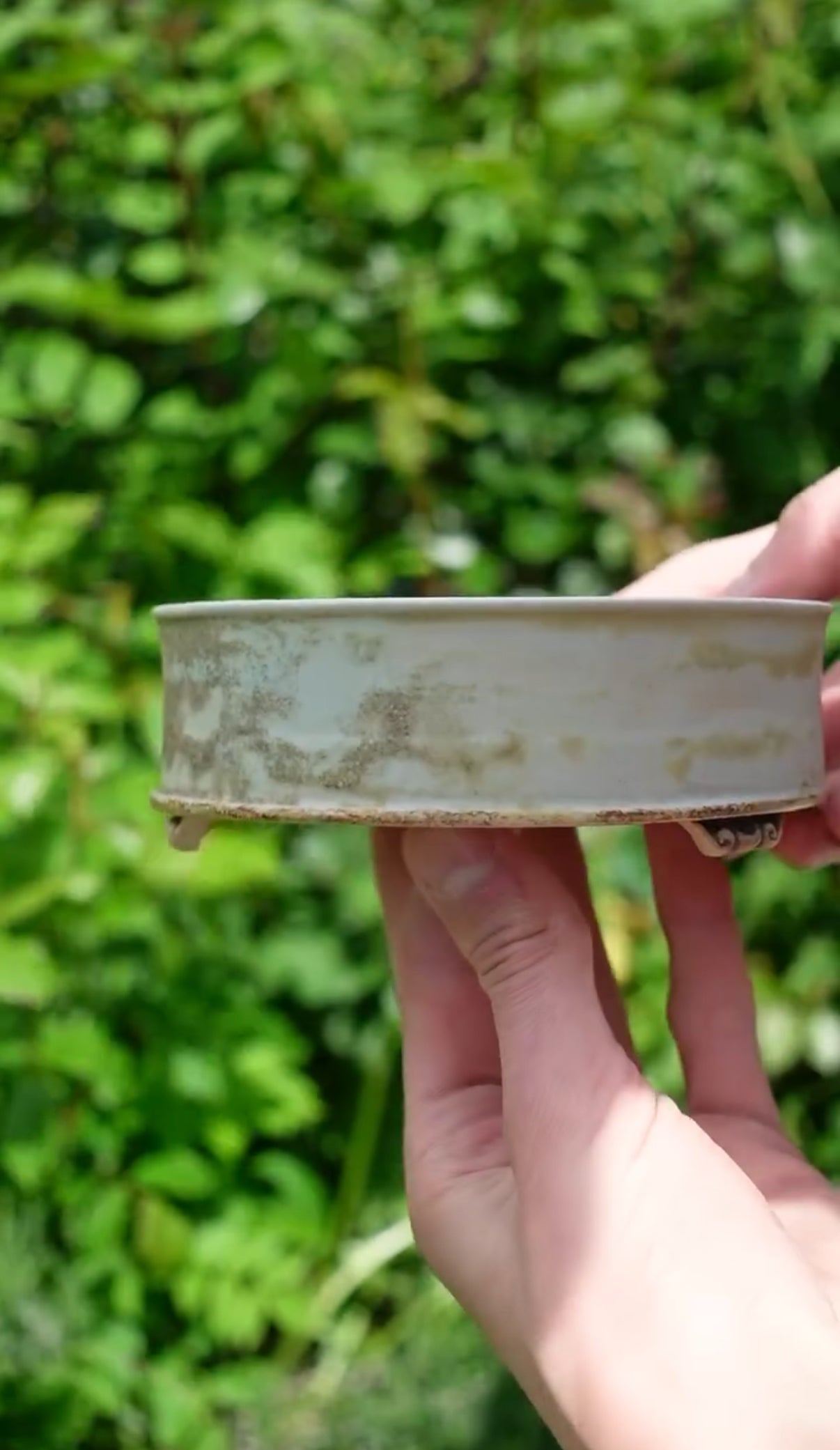 Handmade Bonsai Schale - von "tree with soul"