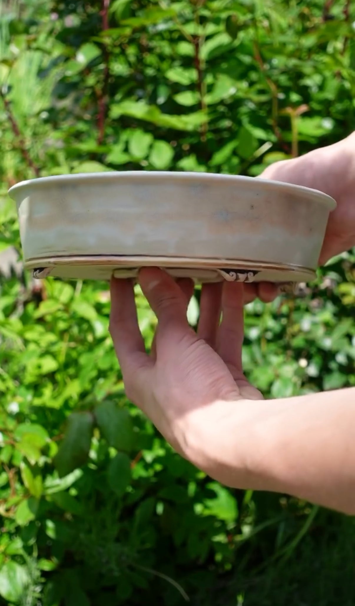 Handmade Bonsai Schale - von "tree with soul"