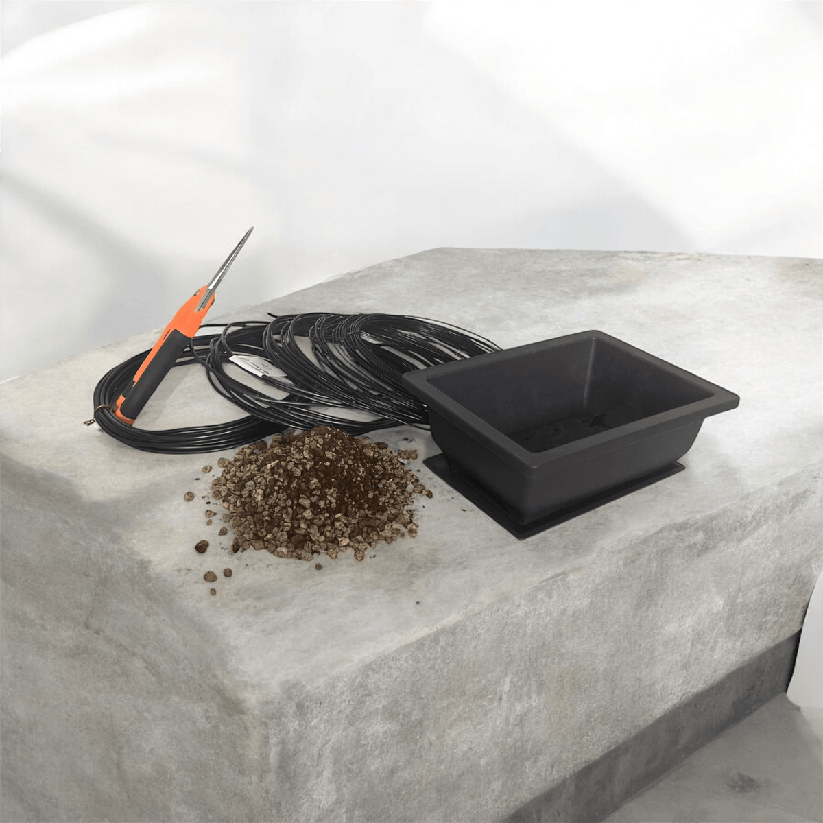 Bonsai Starter-Sets – Alles, was du für die Bonsai-Pflege brauchst!