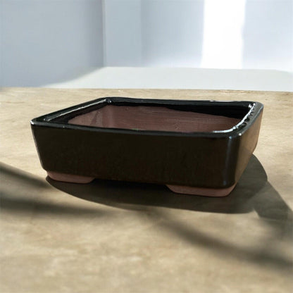 Bonsai Schale „Little Square“