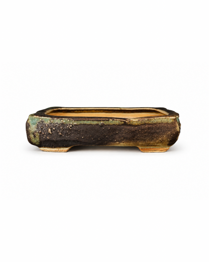 Handmade Bonsai Schale - von "tree with soul"