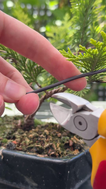 Bonsai Draht aus Aluminium