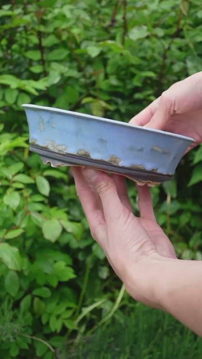 Handmade Bonsai Schale - von "tree with soul"