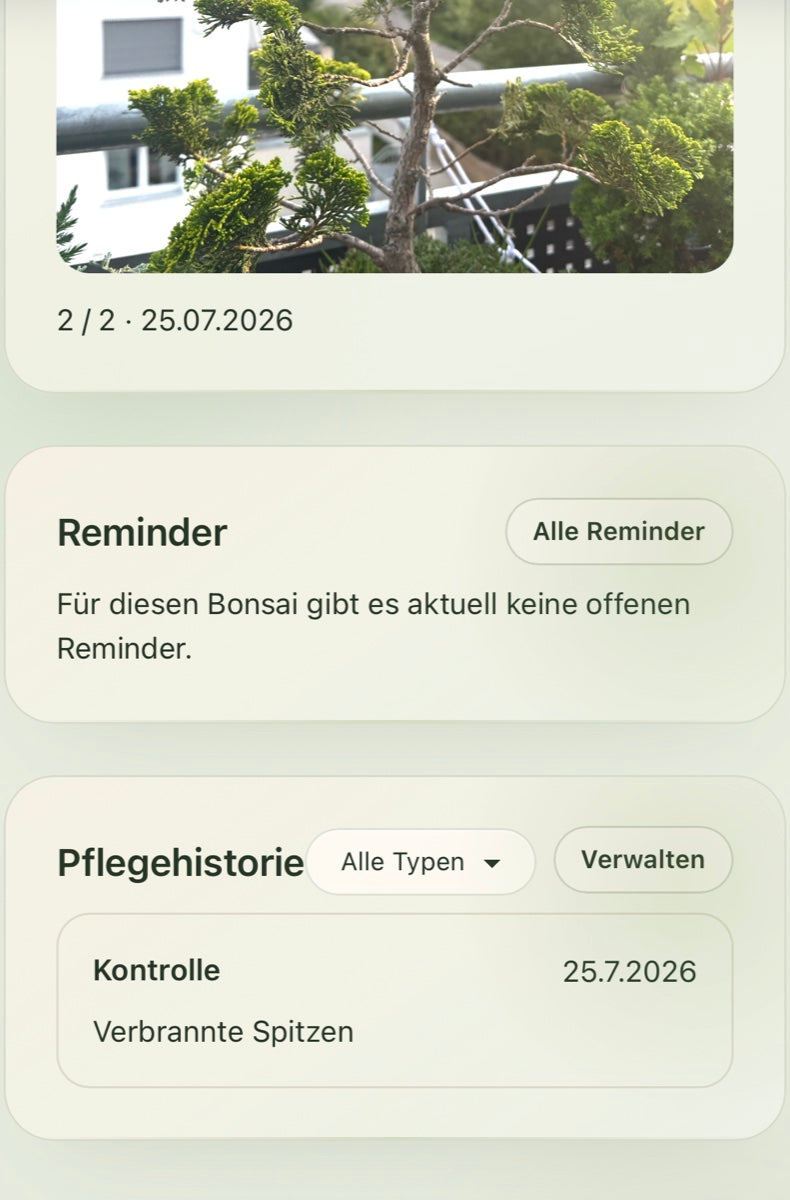 Vorschau einer Bonsai-Tracker-Pflegeansicht